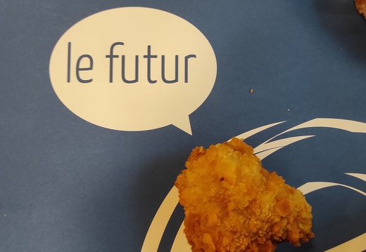 Voyage au Futuroscope